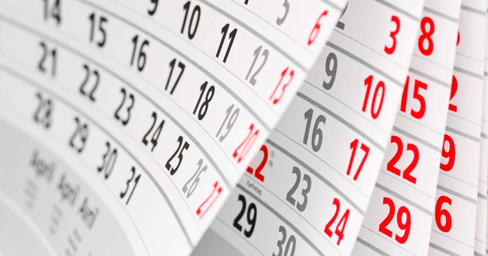 11th Month Warranty Home Inspection Services